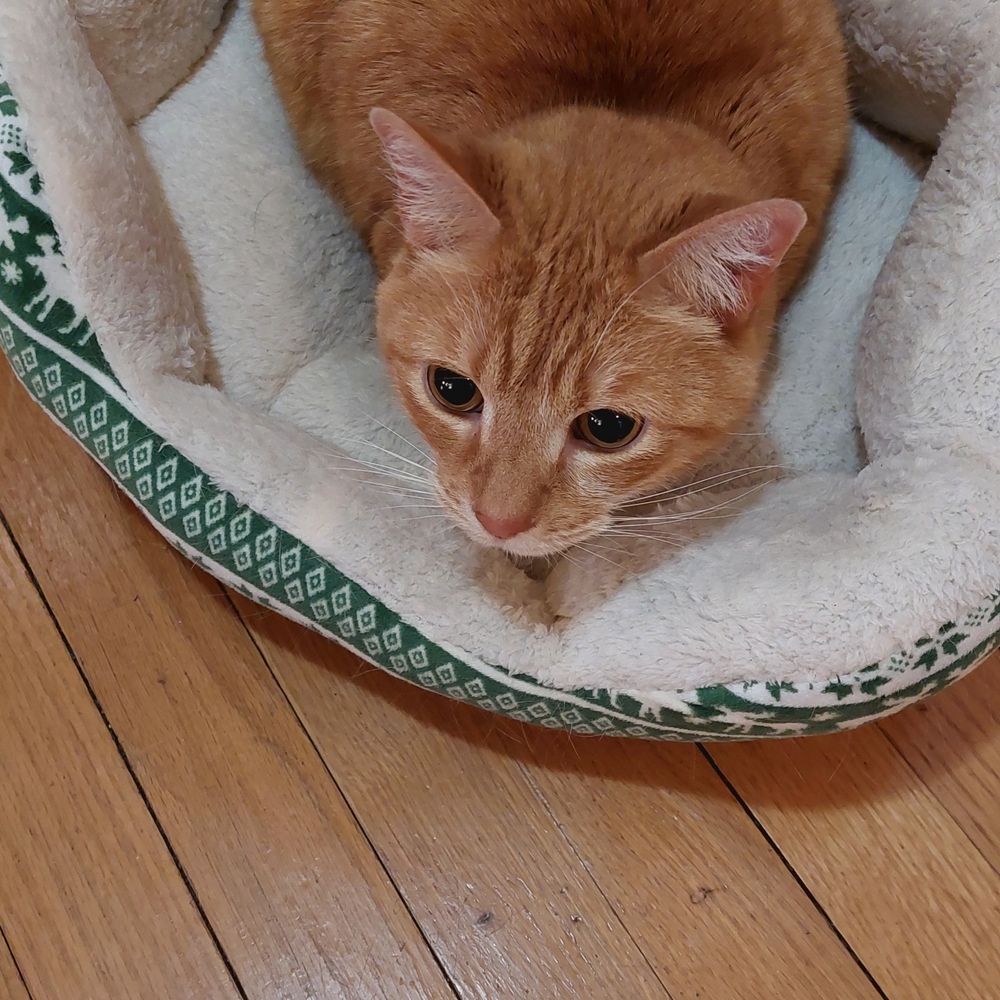 Amber Sez- Keep Cozy And Please Bid On The Jewelz